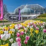 Phipps Conservatory and Botanical Gardens
