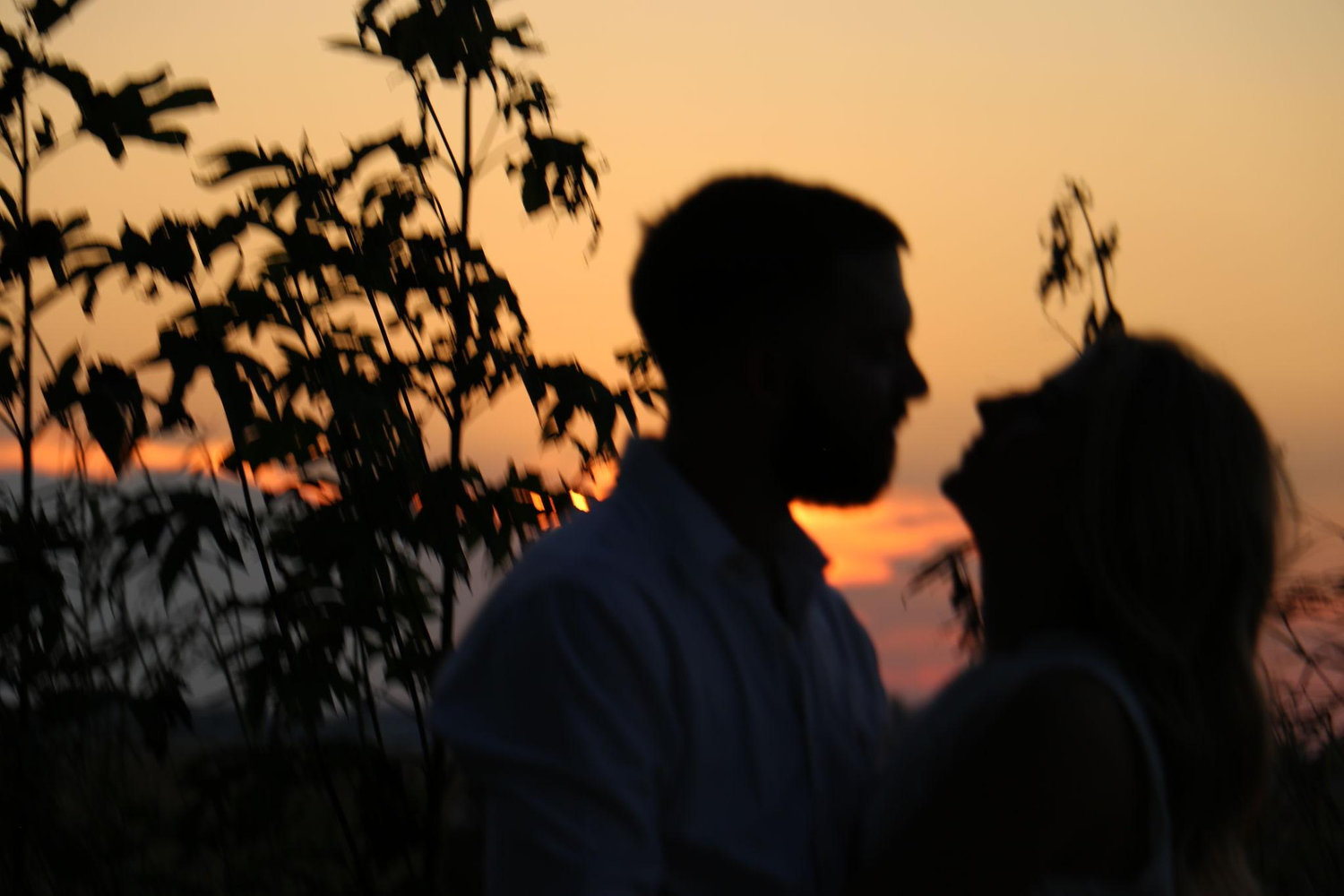 The Wedding Website of Victoria Clay and Zachary Joubert