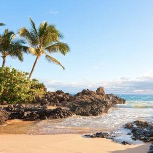 Our Honeymoon Fund (Maui, Hawaii)