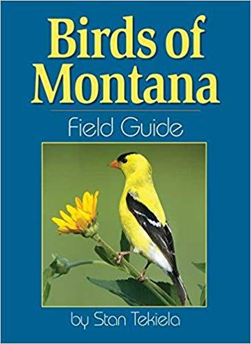 Bird of Montana Field Guide