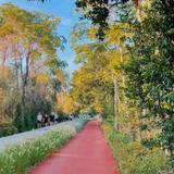 Katy Trail