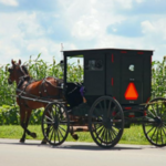 Visit Amish Country