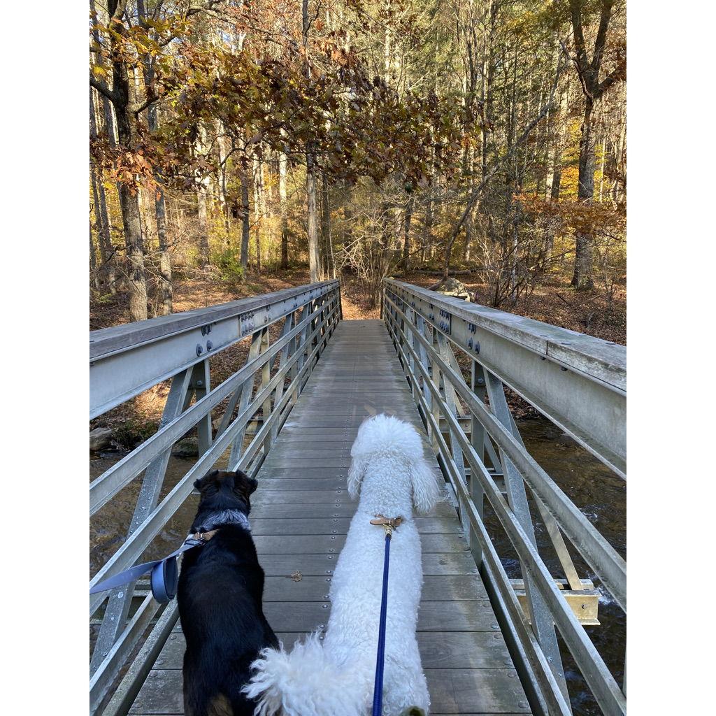 Our first hike as a couple over the Henry David Thoreau bridge in Litchfield County, CT. 3.5 years later, this will be where Jo asks Hanah to marry him.