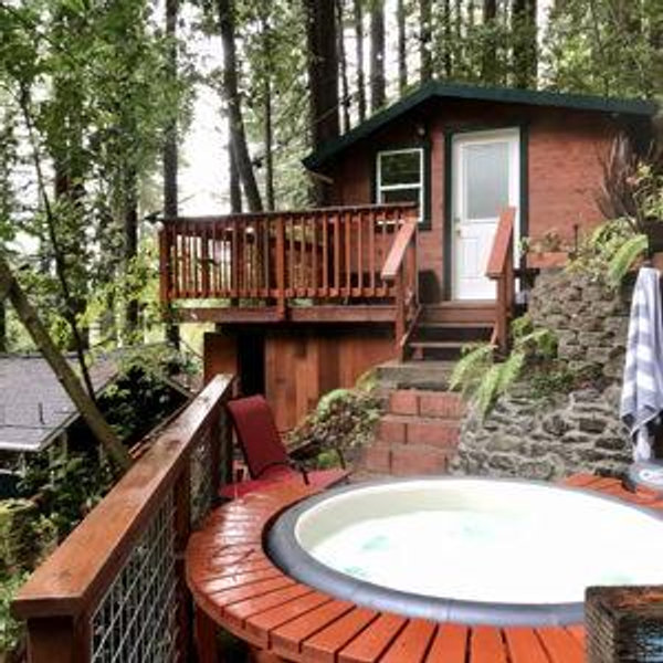 Honeymoon: Redwood Treehouse Lodging in CA