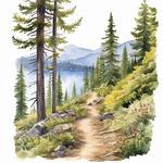 Hiking and Walking