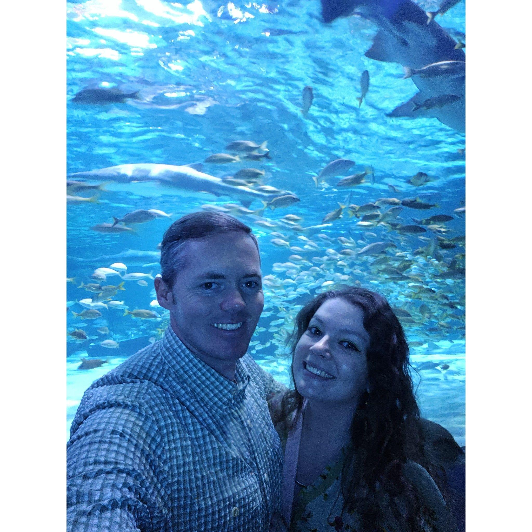 I found my one and only fish in the sea.
