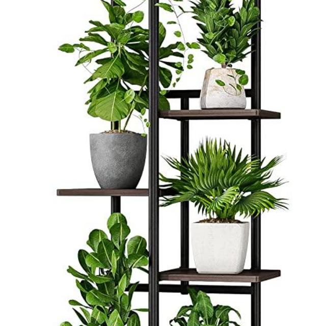 Bamworld Tall Plant Shelf Indoor Metal Plant Stand Outdoor 5 Tier Black Large Plant Stands for Multiple Plants Flower Stand Pot Holder for Patio Garden Corner Balcony Living Room