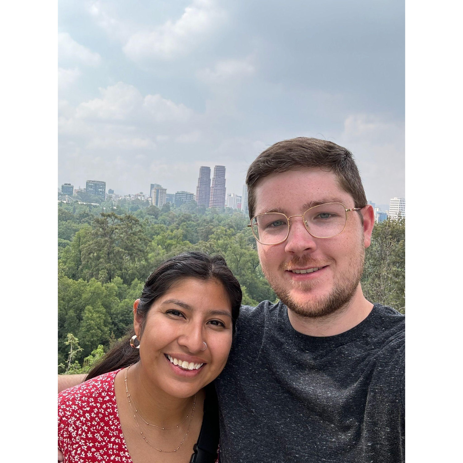 Mexico City's Skyline