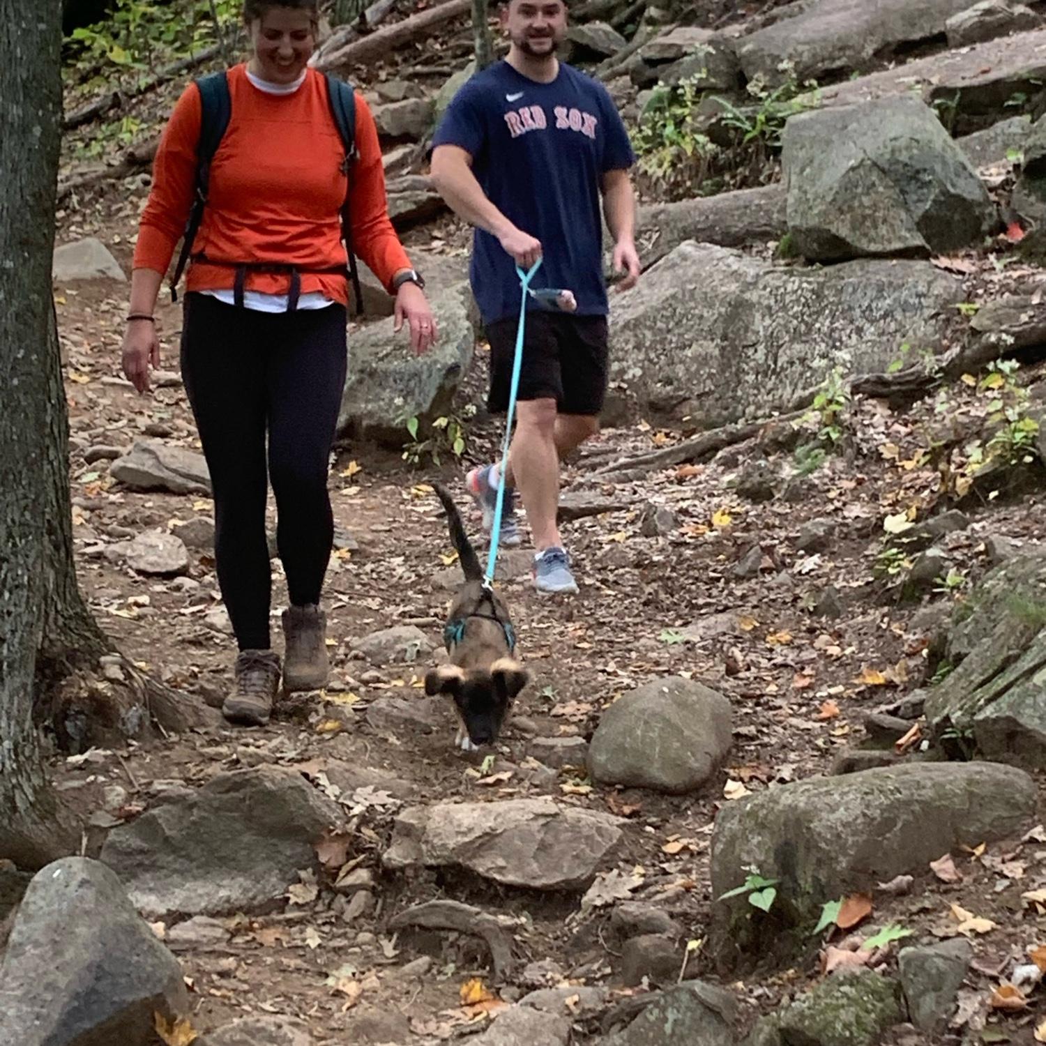 Mt. Major & Lilo’s first hike!