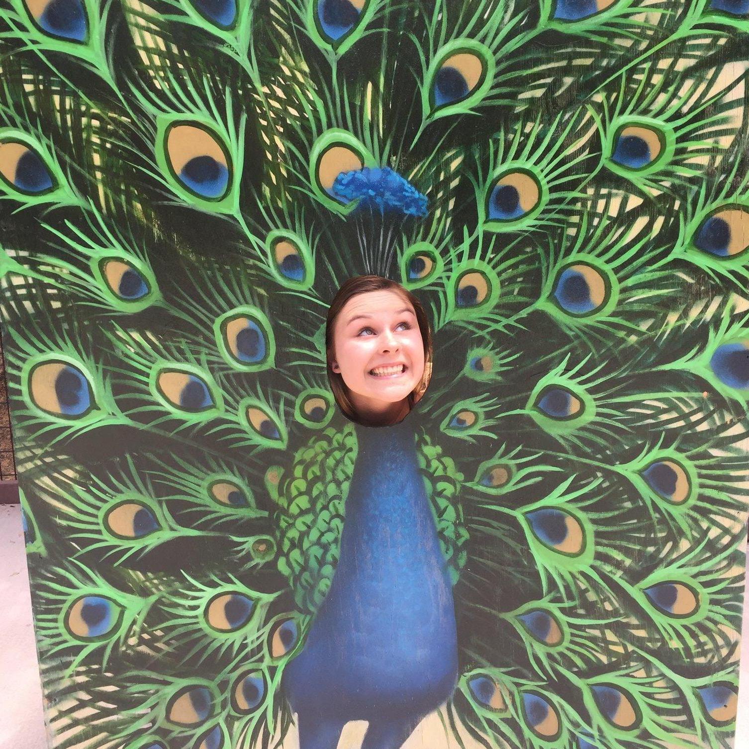 The Sacramento Zoo!