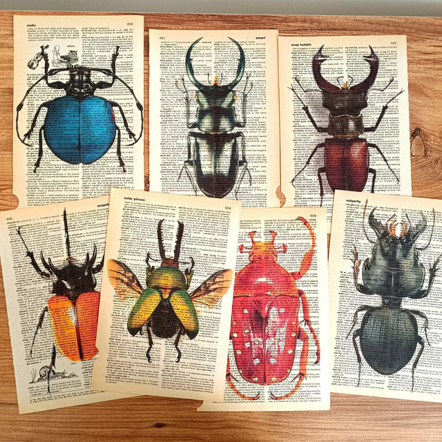 Bugs Prints on Antique Book Page, Set of 7 Insect Art Print on Old Dictionary Page, Vintage Bug Poster, Bug Lover Gift, Bug Wall Art, Beetle