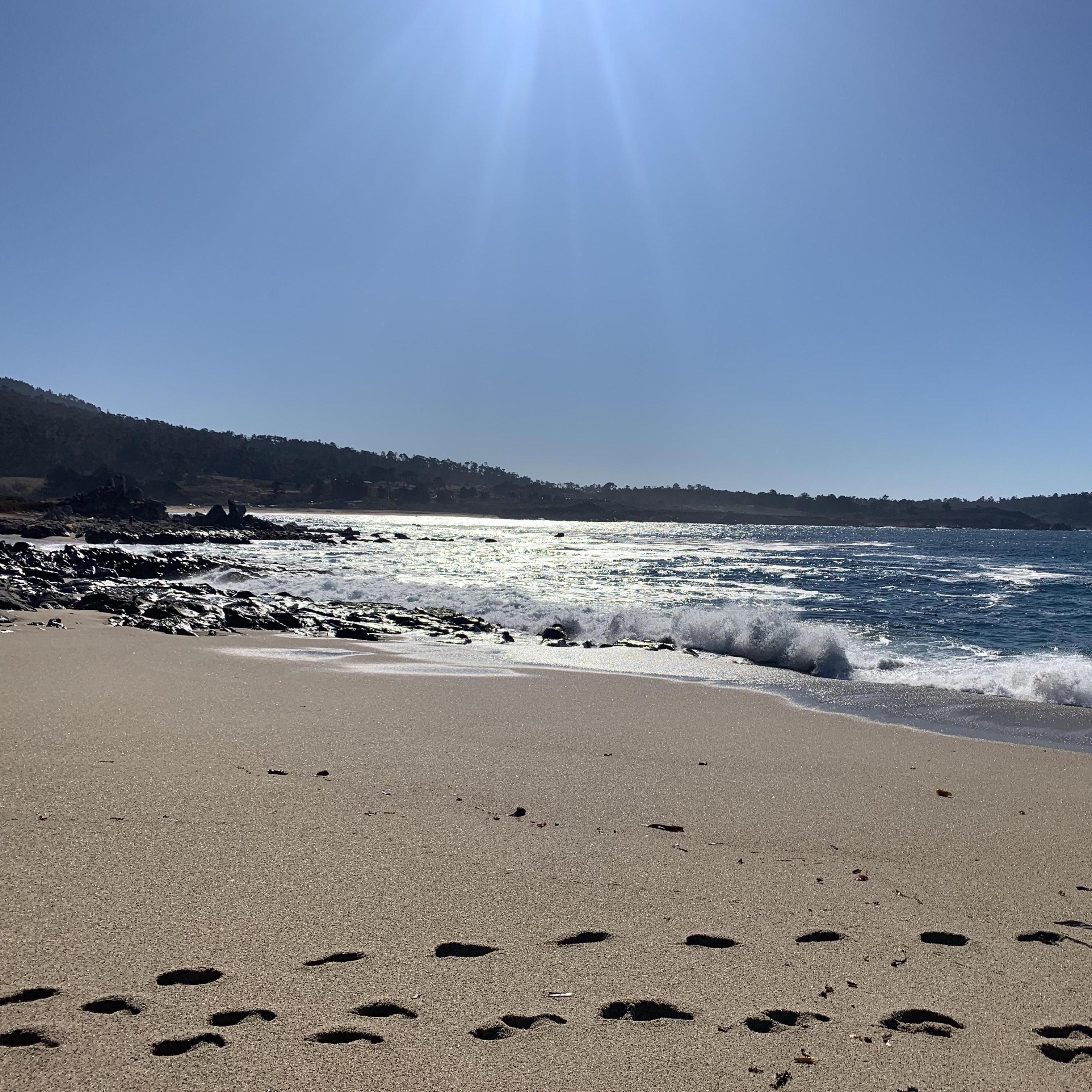 One of many beautiful beaches in Carmel, CA