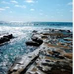 La Jolla Tide Pools