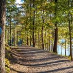 Red Top Mountain State Park