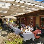 Leland Tea Company - Burlingame