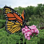 Red Butte Garden
