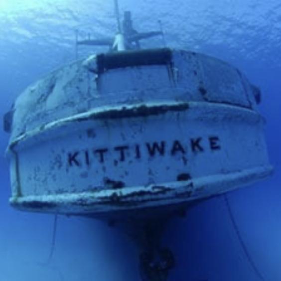 Grand Cayman, Cayman Islands Excursion: USS Kittiwake Sunken Ship & Reef Snorkel