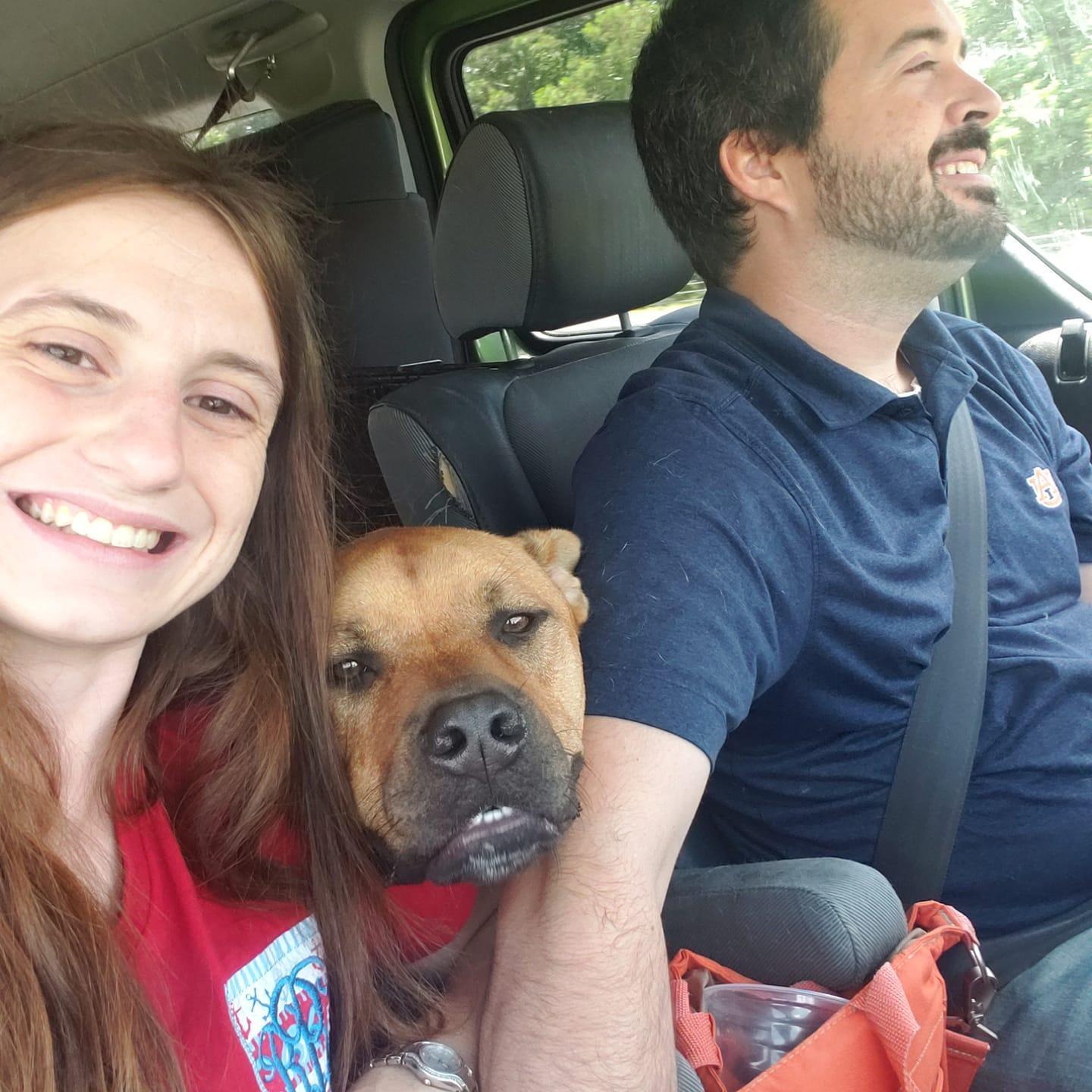 Road tripping to Florida with Waffle