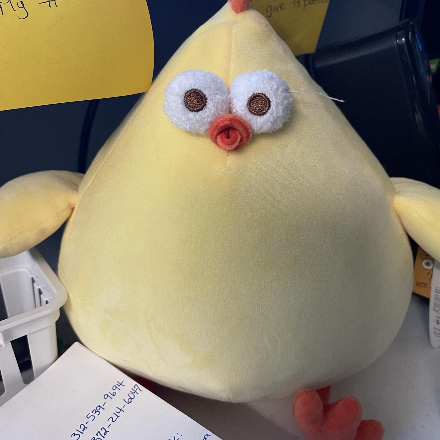 Safety Chicken