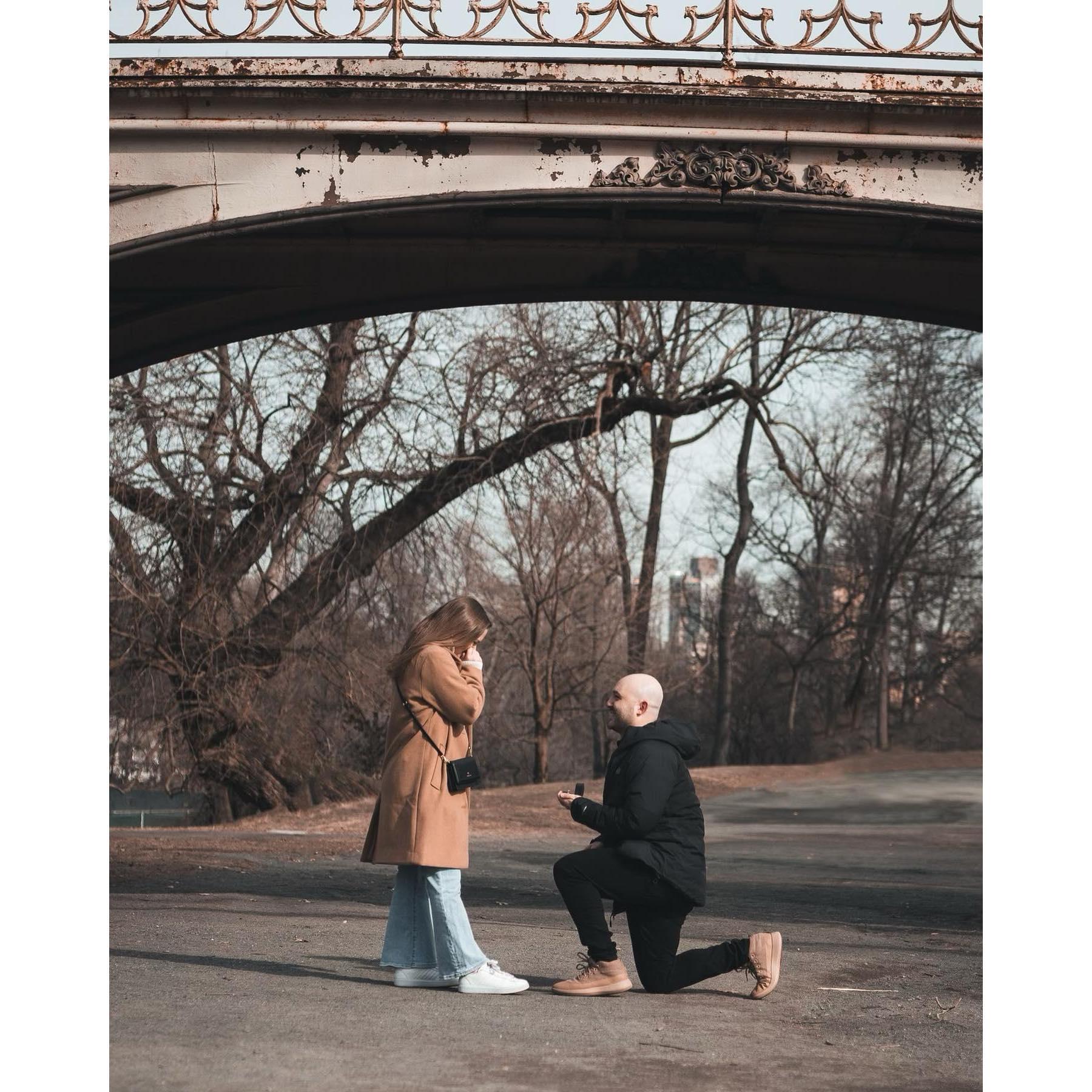 @ Bridge 28