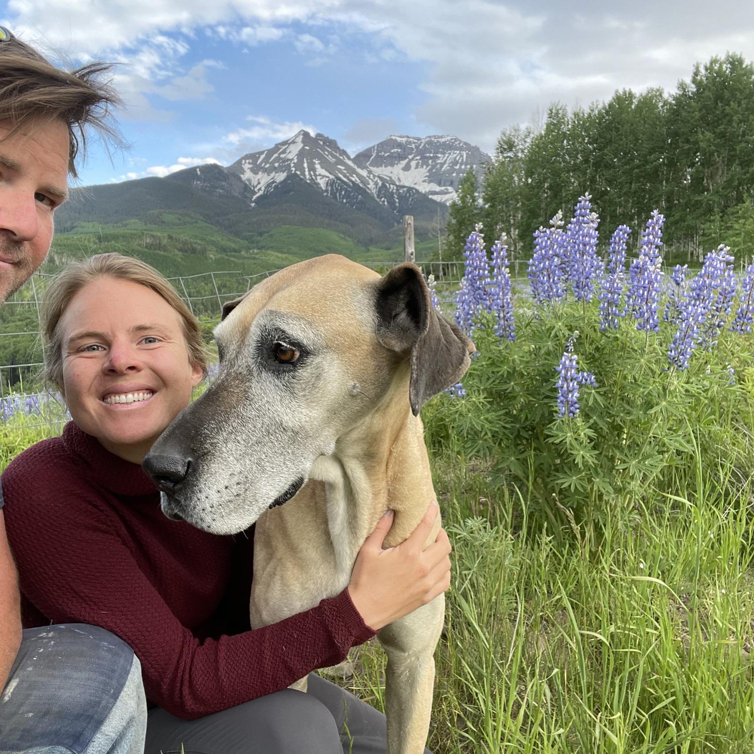 Evening walk in the backyard