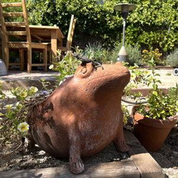 Garden supplies