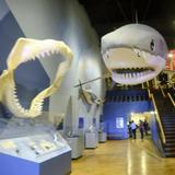 South Carolina State Museum