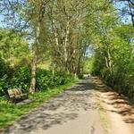 Burke-Gilman Trail