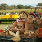 Kyker Farms Corn Maze