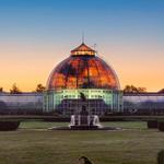 Anna Scripps Whitcomb Conservatory