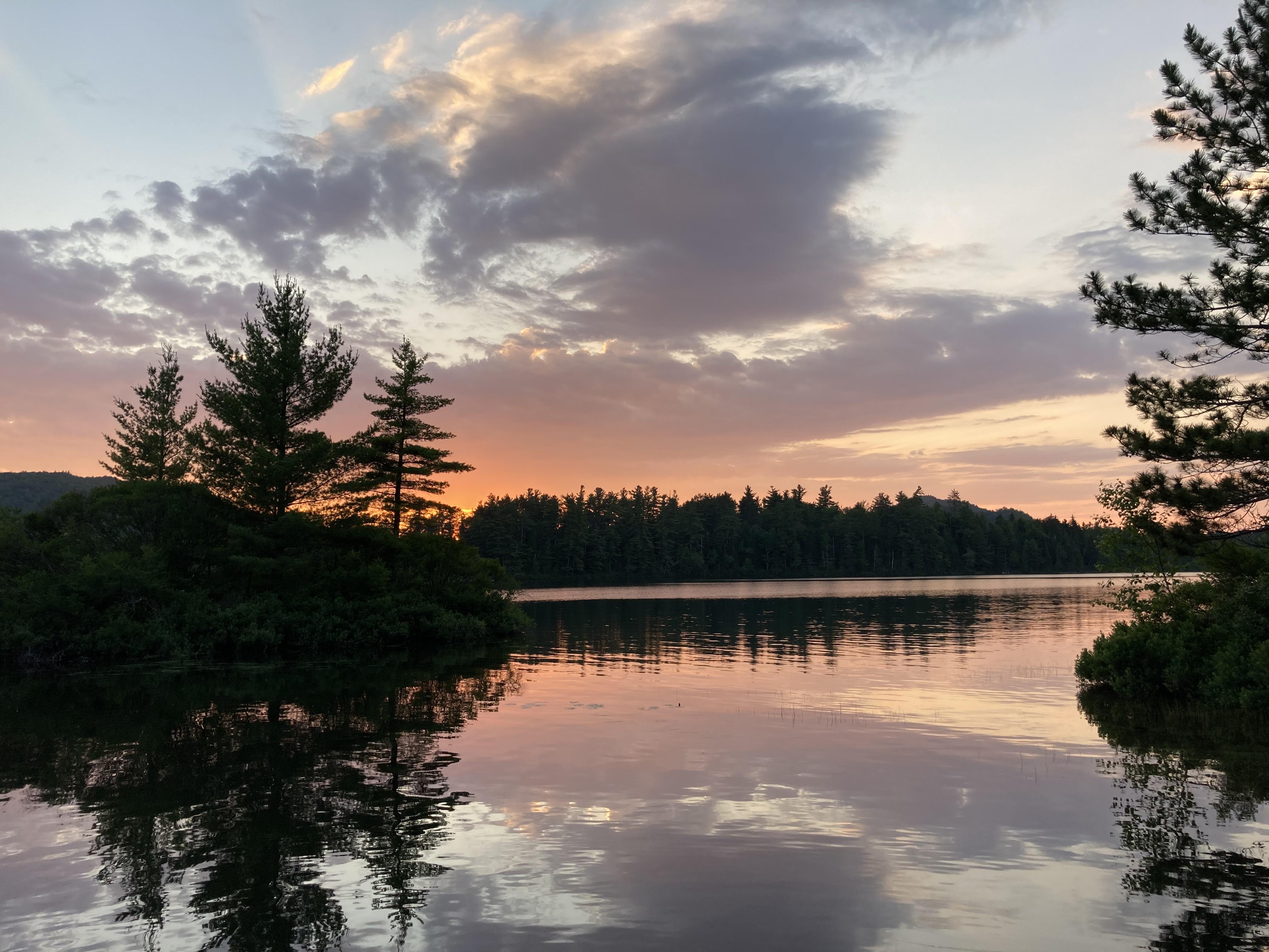 The Wedding Website of Maggie Birnbaum and Andreas Tellman