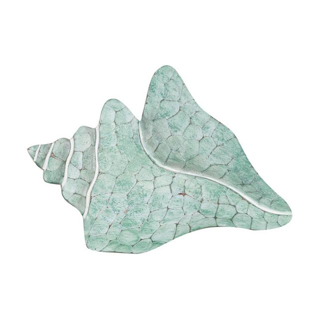Shell Welk Wall Art in Seafoam