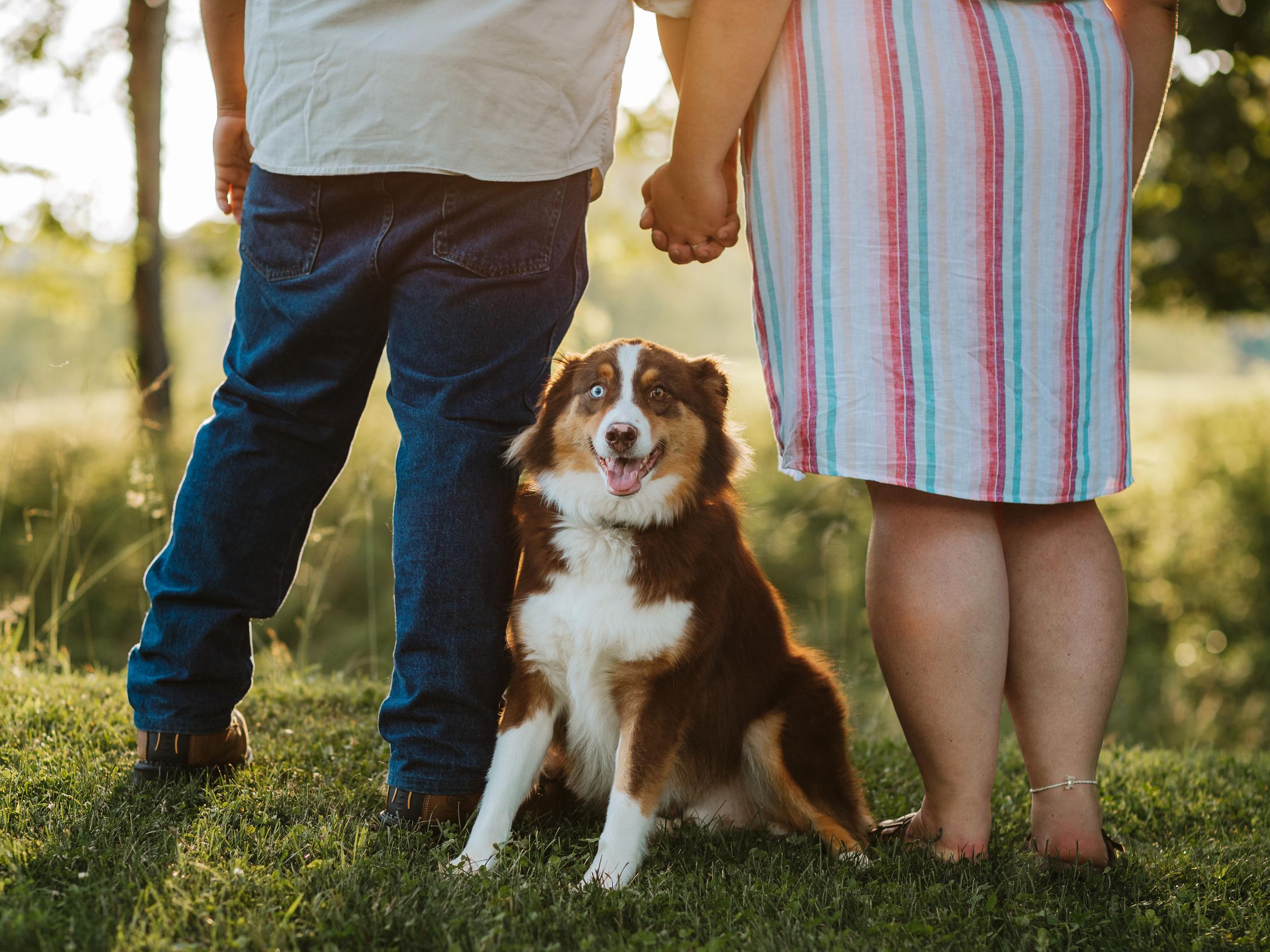 The Wedding Website of Quinlynn Chantelle Champ and Anson “Bubby” Denver Hatfield III