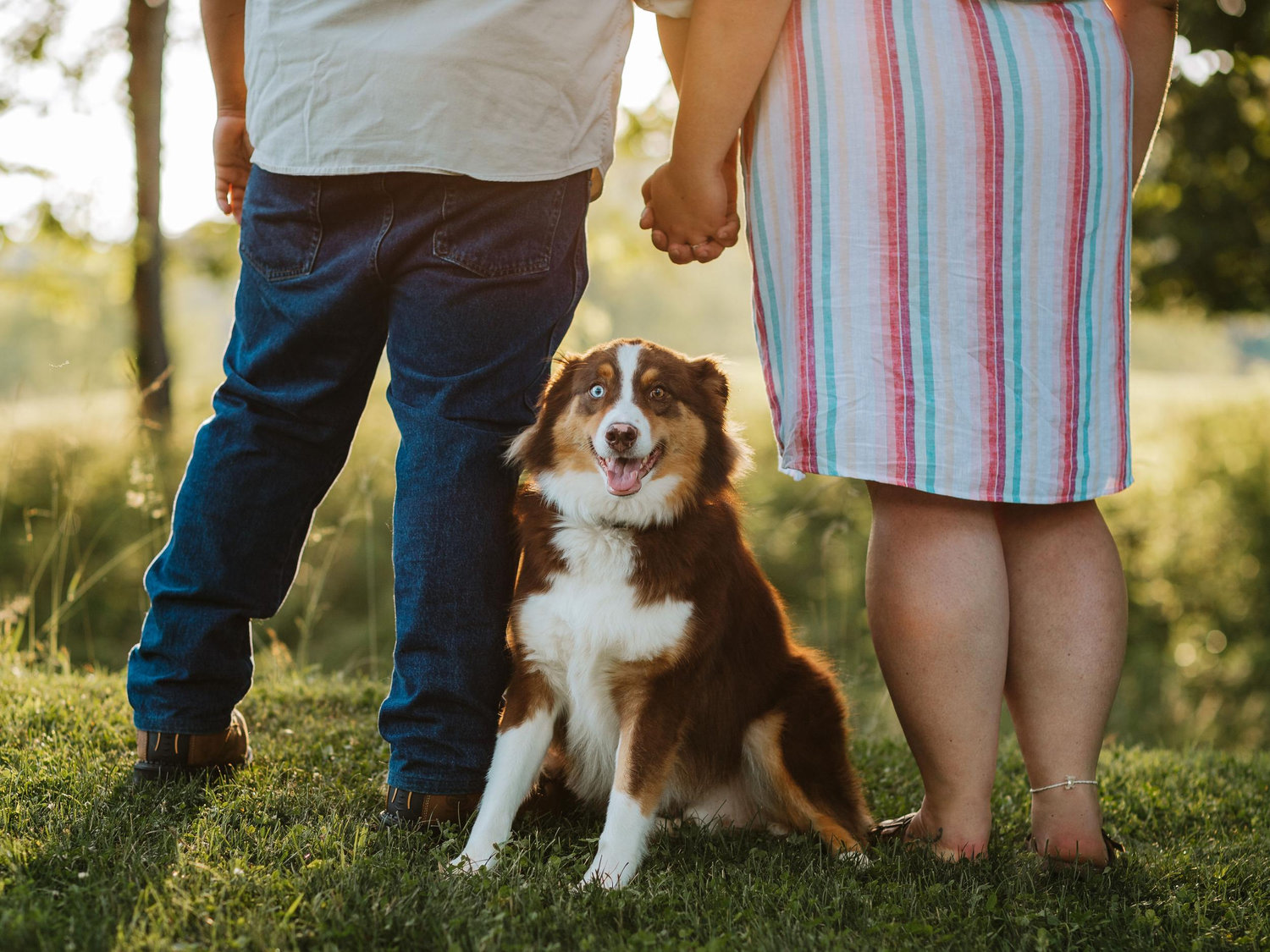 The Wedding Website of Quinlynn Chantelle Champ and Anson “Bubby” Denver Hatfield III