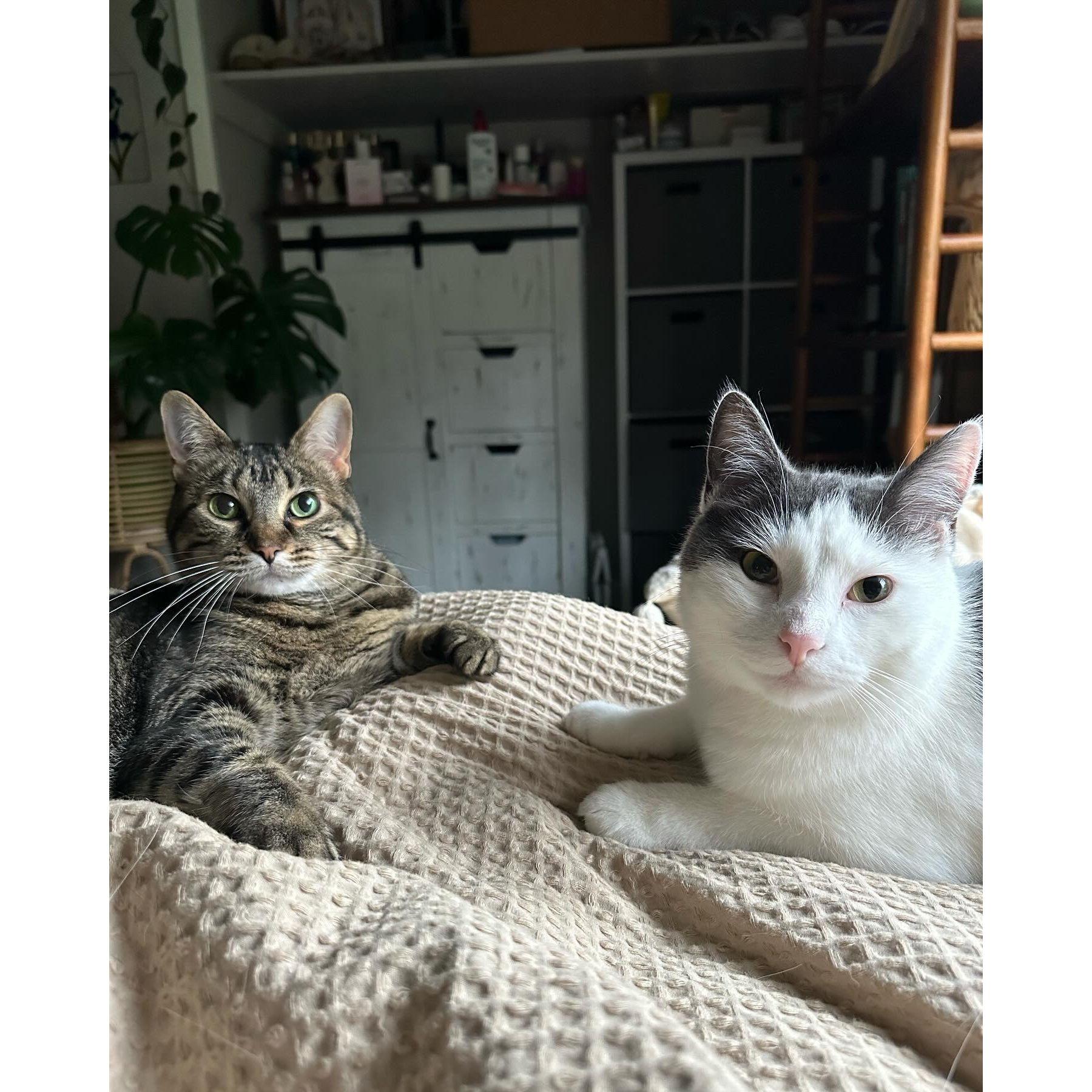 winnie & mya