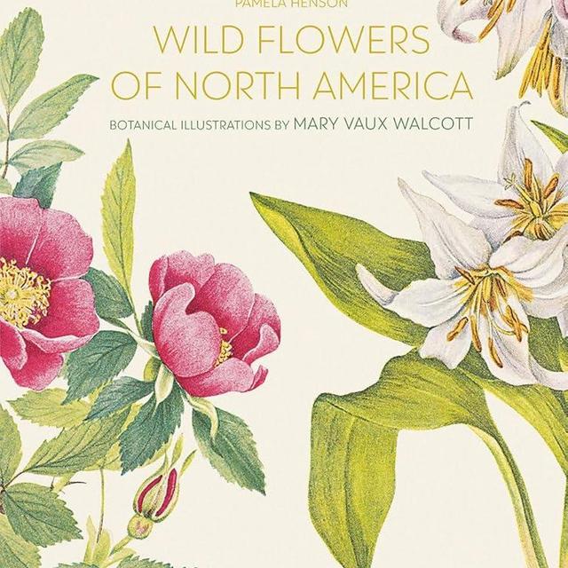 Wild Flowers of North America: Botanical Illustrations by Mary Vaux Walcott