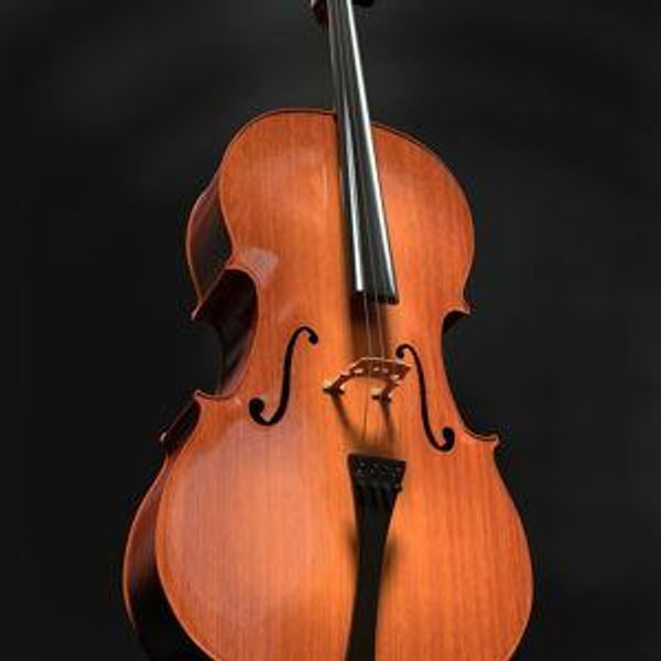 Katie's cello lessons