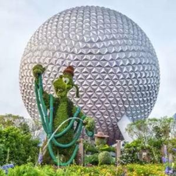 Disney Fund