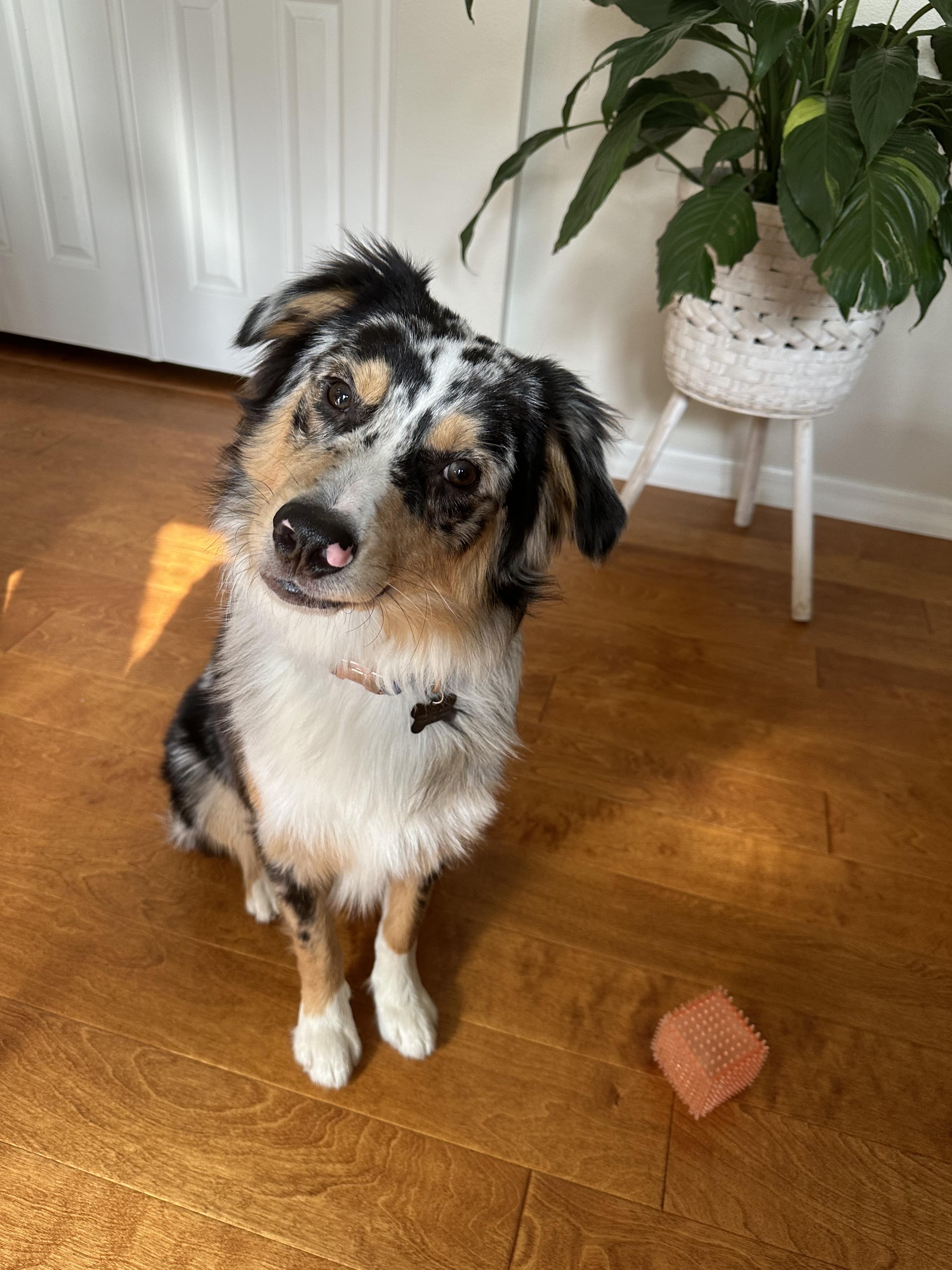 The Wedding Website of Carla Migliaccio and Manuel Cabrera