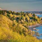 Discovery Park
