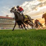 Fairgrounds