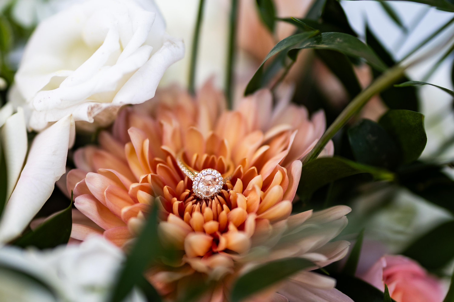 The Wedding Website of Kimberly Draghi and Steven Woodring