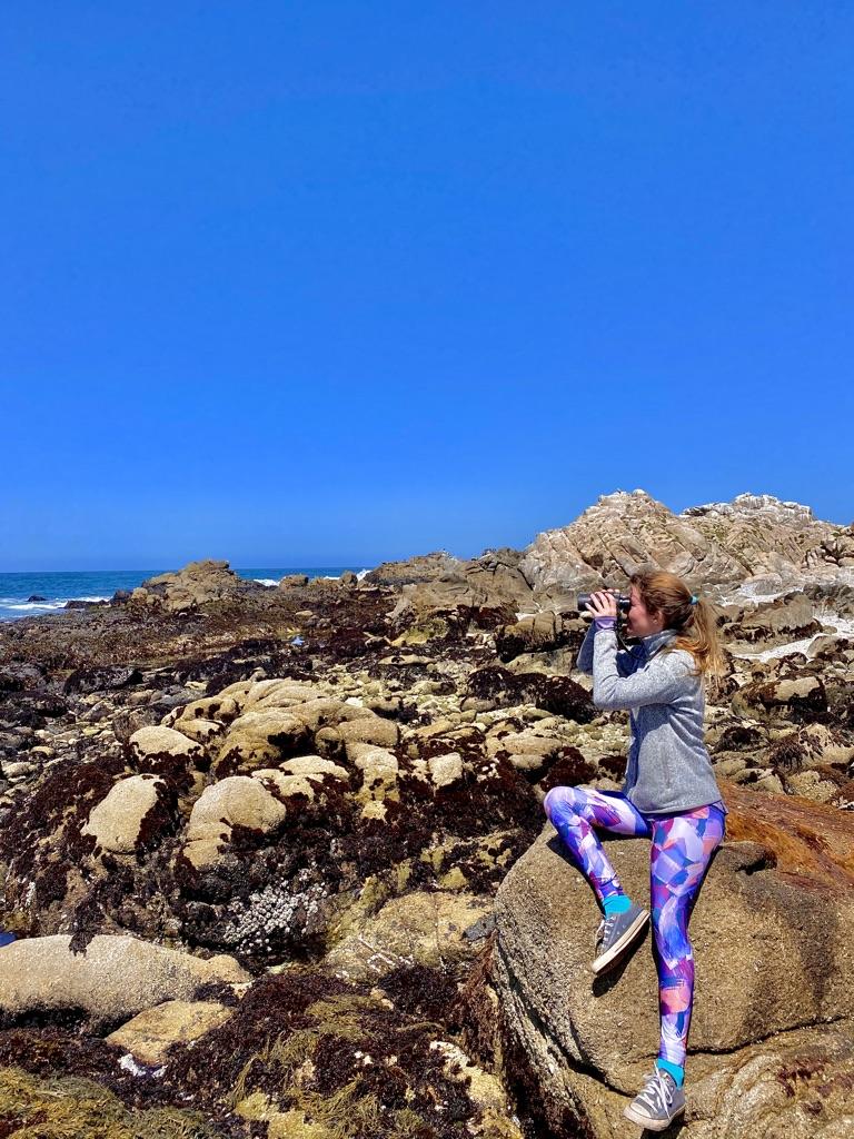 The Wedding Website of Amy Green and Leon Tkacenko