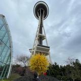 Space Needle