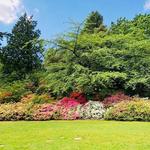 Washington Park Arboretum