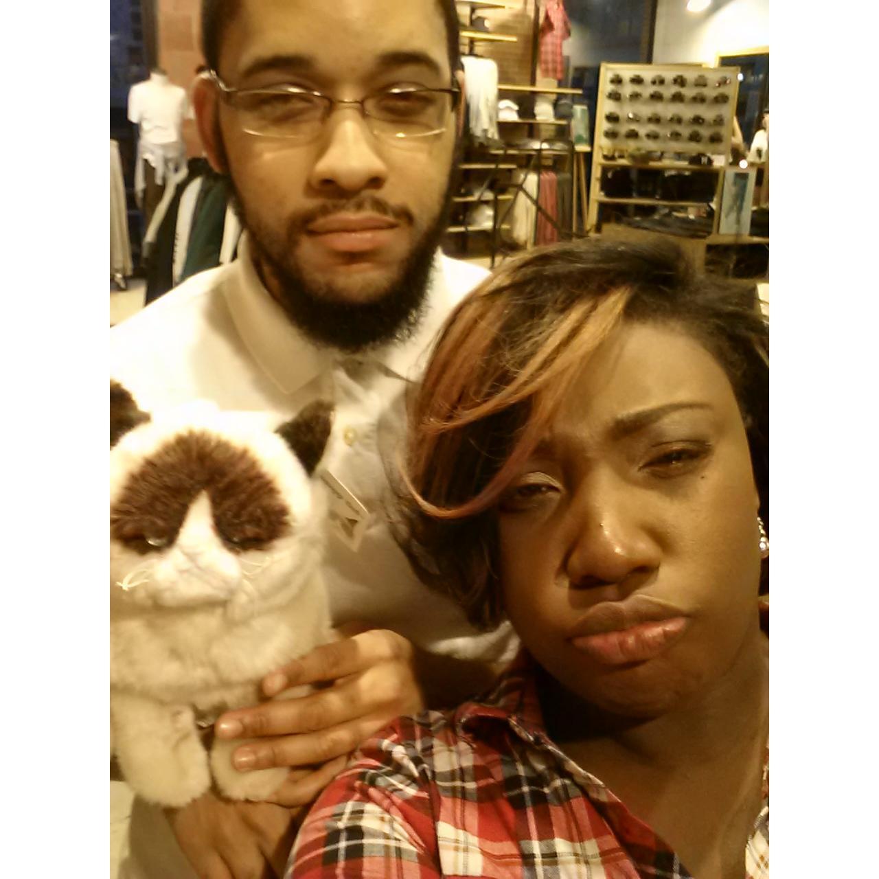 Grumpy Cat Chronicles - Asheville, NC