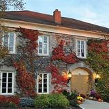 Wollersheim Winery & Distillery