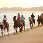 Horse Back Riding Tour