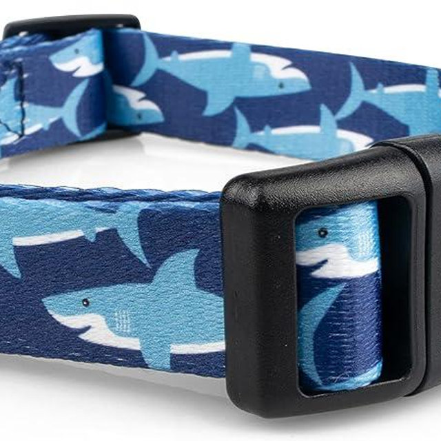 Limeloot Sharks Dog Collar, Summer Themed Dog Collar for Male and Female Dogs, Medium