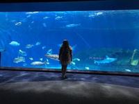 North Carolina Aquarium